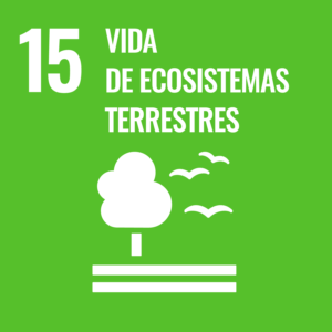 Icono Con impacto en el ODS15